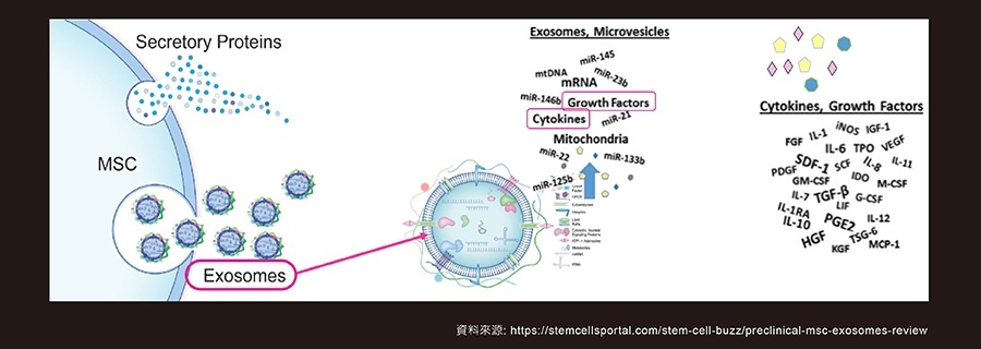 甚麼是外泌體？認識新一代幹細胞衍生物-訊聯次世代外泌體Exosome